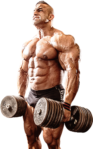 Fouad Abiad, Team Scitec